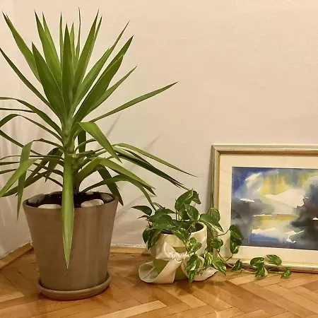 Apartman Sanja